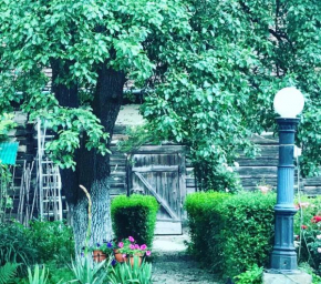 Отель Badiu's Guest House  Стадтердорф 